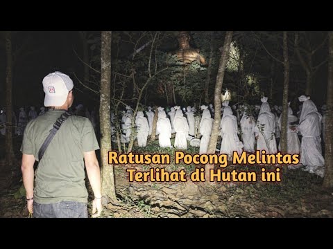 Makhluk Besar Penghuni Hutan Menampakan dirinya Ketakutan Merasakan Aura Suci yang Turun