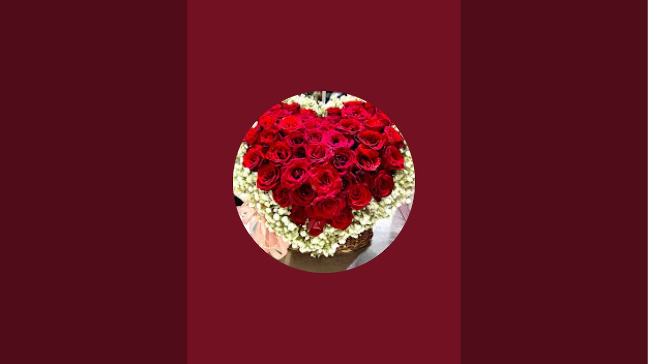 Thinh Nguyen đang phát trực tiếp!