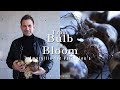 Create Three Unique Amaryllis Bulb Arrangements with Nicolai Bergmann