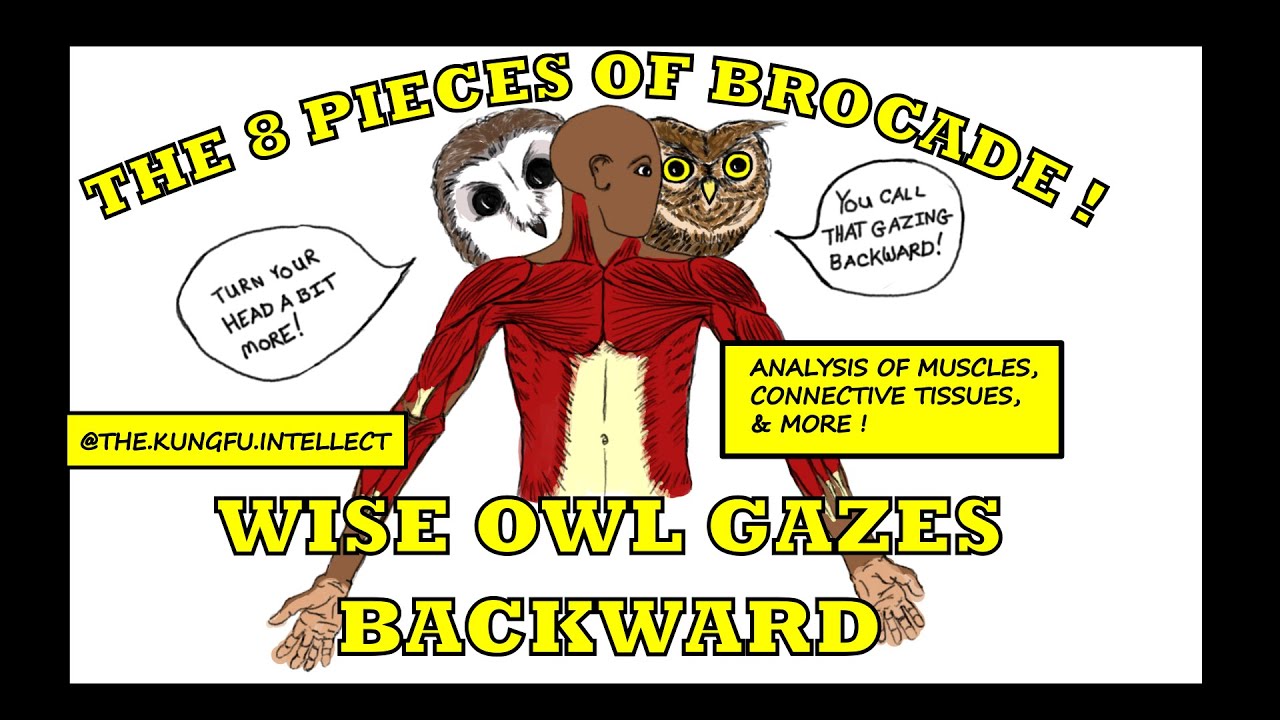 8 Pieces of Brocade  - Wise Owl Gazes Backward