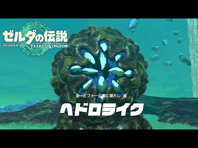 ゼルダの伝説 ティアキン ブレオブ 2点 ゼルダの伝説 ティアキン】ヘドロライク戦（ミファー公園
