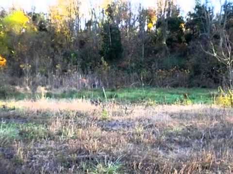 274 WACO HEIGHTS RD, Waco, KY home video tour