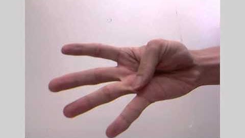 Hand Gesture Recognition with Kinect