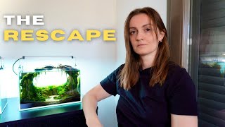 Fixing and Rescaping My Cave Aquarium