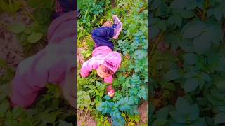 ❤️#baby#trending #ytshorts #babyshorts #viralboy #reels challenge#gunny yt offcial