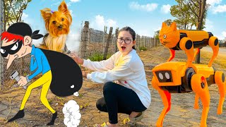 Changcady review chó robot trông nhà giá rẻ, chó robot chạy pin năng lượng mặt trời