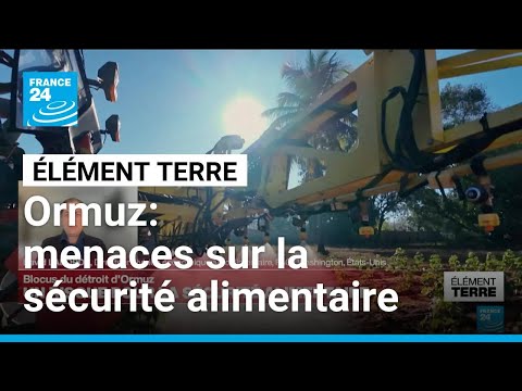 Le blocus du d&eacute;troit d'Ormuz menace la s&eacute;curit&eacute; alimentaire mondiale (Interview) &bull; FRANCE 24

Cette guerre pourrait conduire plus de 40 millions de personnes &agrave; la famine. Un tiers des engrais produits dans le monde transitent par le d&eacute;troit d'Ormuz.

#blocus #d&eacute;troit #dOrmuz #menace #s&eacute;curit&eacute;