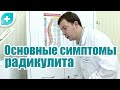 Основные симптомы радикулита