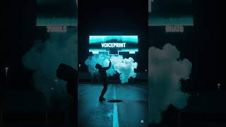 VOICEPRINT (Soulwaive) — Alt Pop Electro Pop Preview