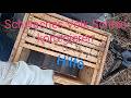 Wichtig Schwaches Volk Schied korrigieren #imkern #bienen