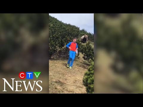 12-year-old boy keeps calm during bear encounter