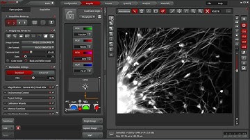 Leica LAS X Software: Acquire Tab Overview