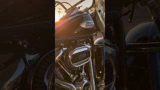 Pure Harley Sound at Sunset 🌅 #harleydavidson #chopperstyle #cruiserlife #biker #exhaustsound #m8