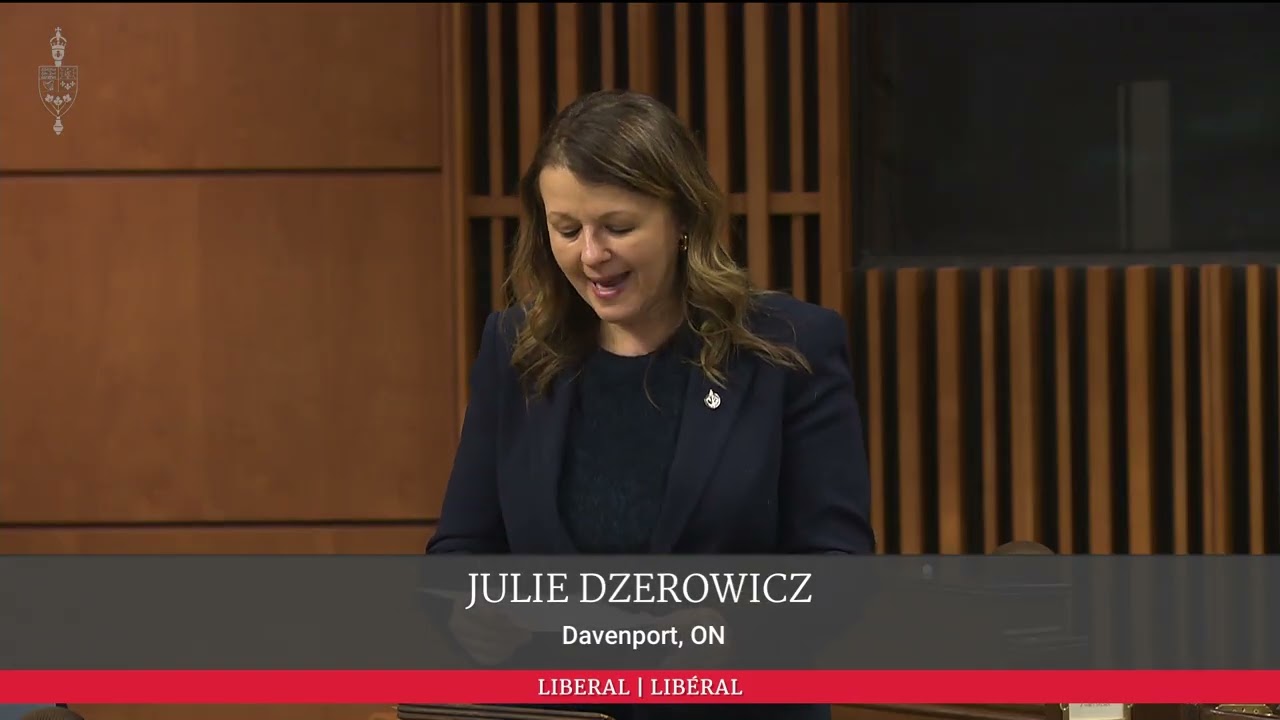 Депутат Дзерович выступил в Палате представителей с речью по поводу Закона о защите жертв преступ...