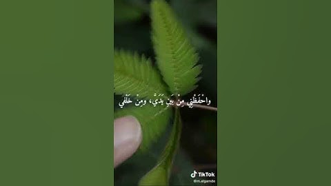 اللهم إني أسألك العفو والعافية في ديني ودنياي وأهلي ومالي #اذكار_المساء