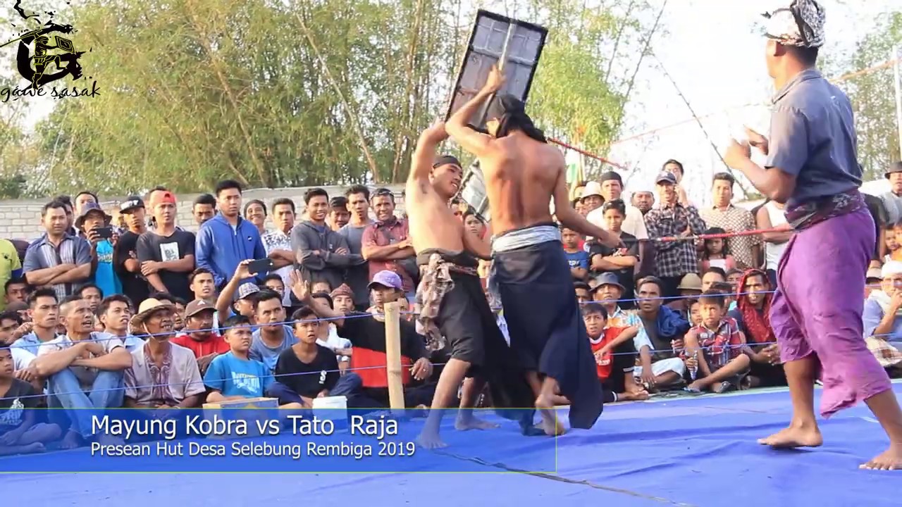  tato  Bali  vs Balu ganas YouTube