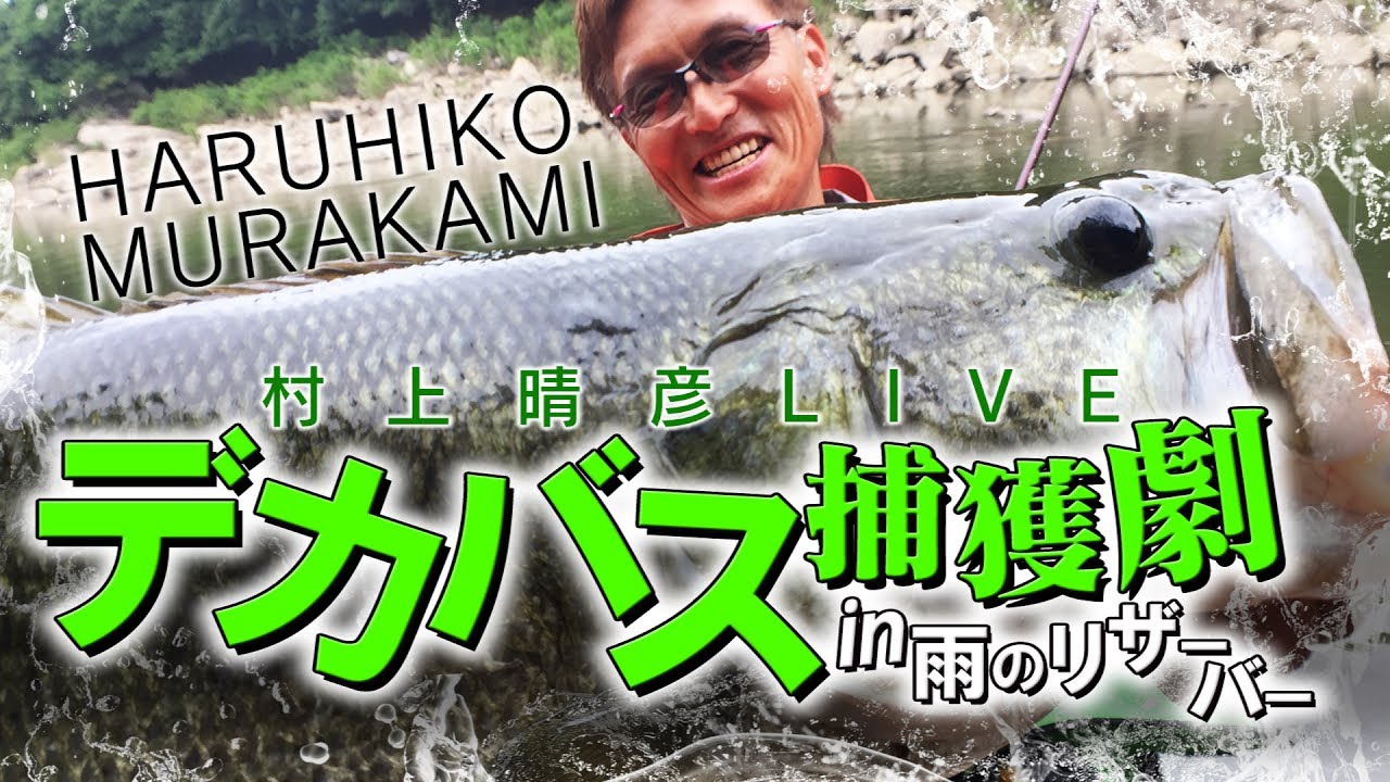 Haruhiko Murakami's Bank Fishing LIVE 