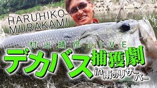 村上晴彦オカッパリLIVE「デカバス捕獲劇in雨のリザーバー」【バス釣り】