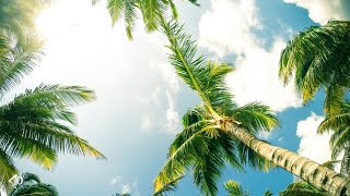 R&B Guitar x Melodic Beat - Awesome | FREE FOR PROFIT
