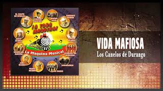 Vida Mafiosa (Los Canelos de Durango) | La Máquina Musical ¡A Toda Máquina!