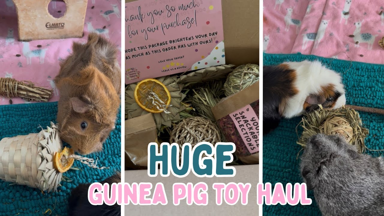 HUGE GUINEA PIG TOY HAUL | Unboxing toys from Luxury Bunny Bakery 🌻🩷