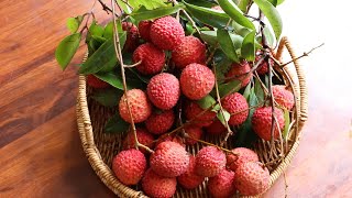 Waxberry Dnd Litchi Drink: Favorite of Beijing's Forbidden City Restaurants