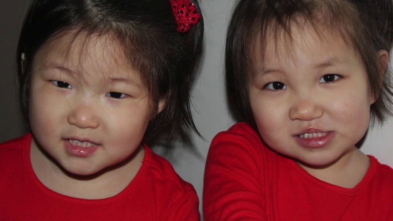 Stoner Adoption Story