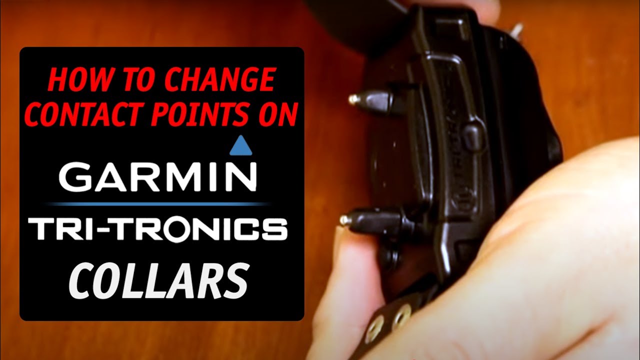 2012 TriTronics Collars Changing CONTACT POINTS YouTube