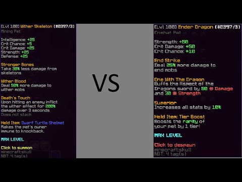 lvl 100 ender dragon pet vs lvl 100 wither skeleton pet (Hypixel