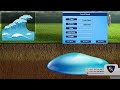 RIVER G | DÉTECTEUR D'Eaux Souterraines | GER DETECT