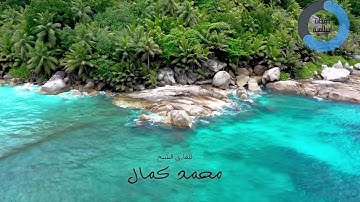 ايات من سورة الفجر ( محمد كمال)