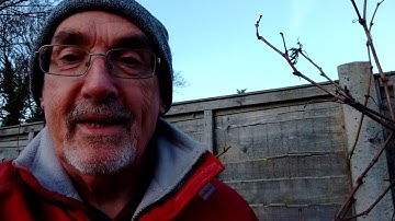 Introduction to Growing Grapes In The UK _Video 1