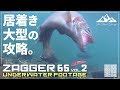 エリアミノーイング -水中映像- ザッガー65で大型虹鱒を攻略せよ！【蔵王フォレストスプリングス】【Area minnowing footage】