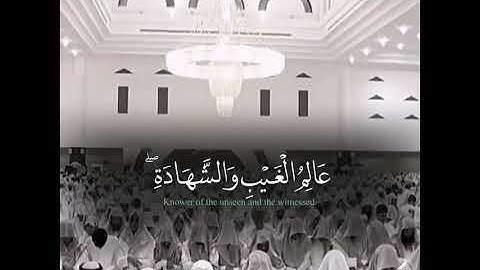 أواخر سورة الحشر بترتيل مؤثر من الشيخ ياسر الدوسري ♥️😢 حالات واتساب دينية