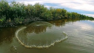 видео: Ловля рыбы кастинговой сетью с лодки, улов как всегда радует.Рыбалка 2021. картинка: Ловля рыбы кастинговой сетью с лодки, улов как всегда радует.Рыбалка 2021.