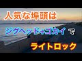 人気な埠頭はジグヘッド+ゴカイのライトロック 衣浦湾