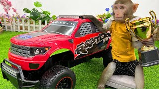 Baby monkey Bim Bim buys a car and plays at the playground with the puppy so happily