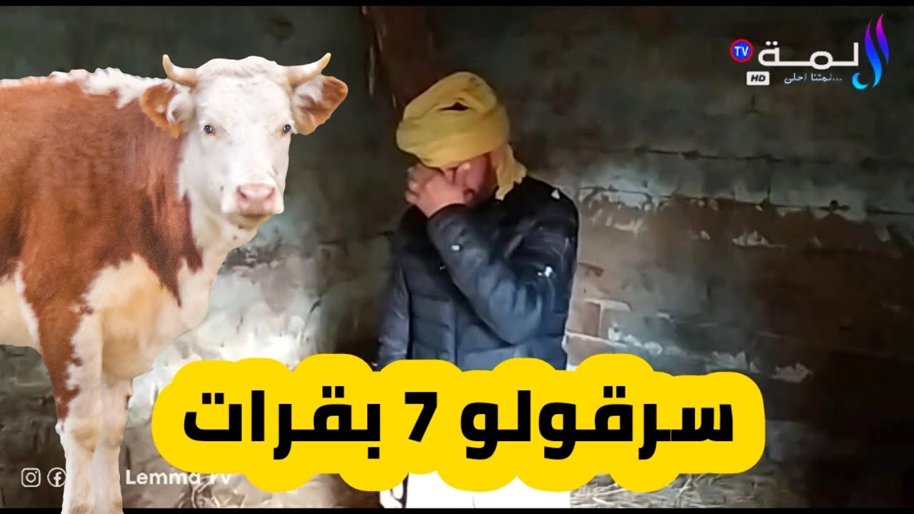 عصابة تقتحم منزل فلاح وتسرق منه  7 أبقار بمنطقة بوحماد بلدية تاجنة 