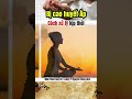 Rau cần tây hạ huyết áp hằng ngày
