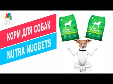 Video: Läs AVMA: S Policy För Rå Kött - Nutrition Nuggets Dog