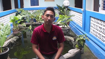 Final Project About Unwanted Pregnancy- Foreign Language 2