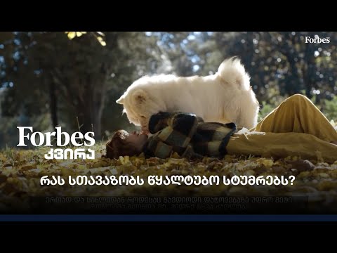 რას სთავაზობს წყალტუბო სტუმრებს?