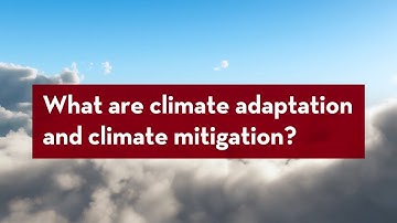 Understanding Climate Action: What are climate mitigation and adaptation?