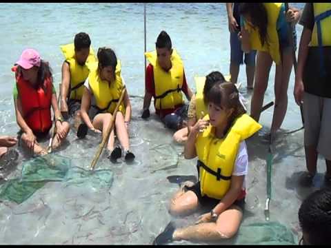 Key Biscayne Nature Center Summer Camp Key Biscayne Nature Center Summer Camp