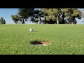Almost! Golf Clip