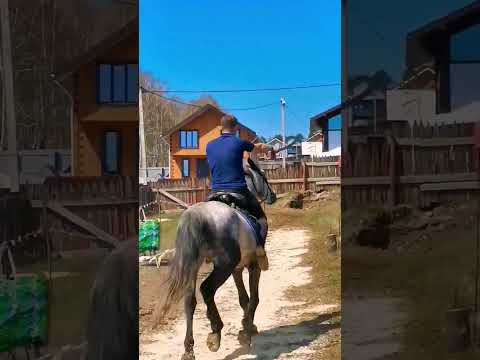 Рубка шашкой верхом