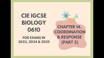 14. Coordination and response(Part 2)(Cambridge IGCSE Biology 0610 for exams in 2023, 2024 and 2025)