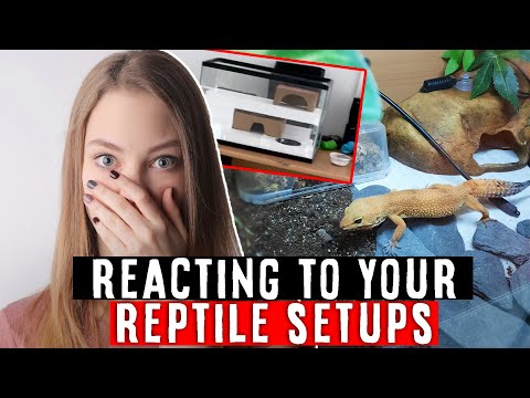 REACTING TO MY