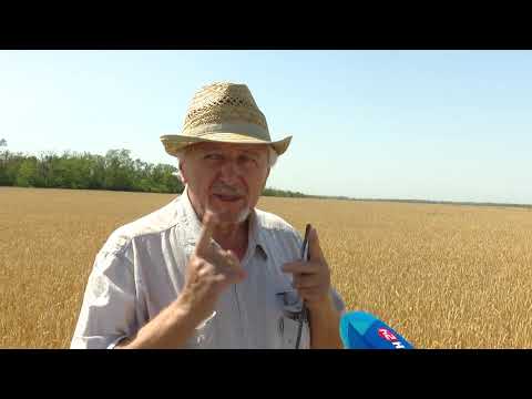 Спасение озимых при