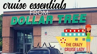 45+ Dollar Store Cruise Essentials